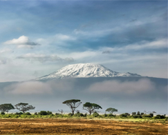 Africa